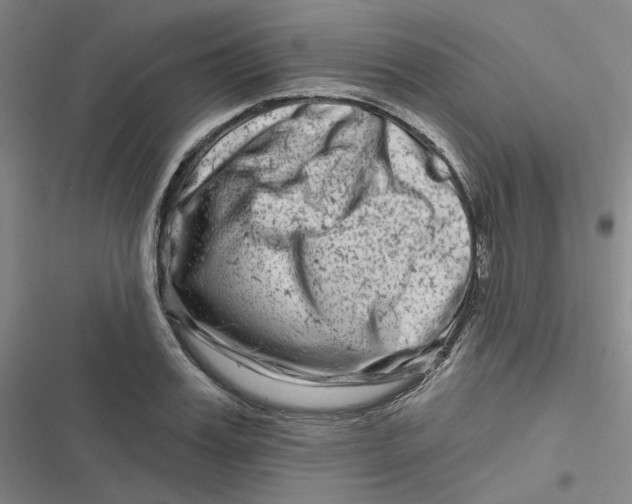 X0000116870987201001121258