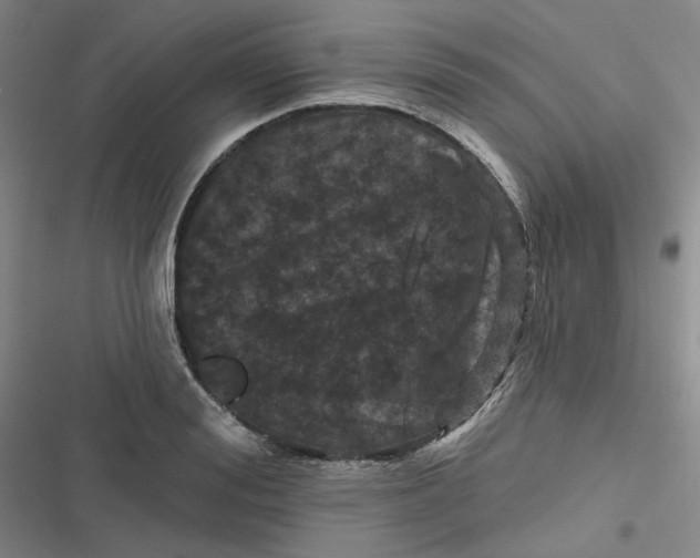 X0000116870988201001121258