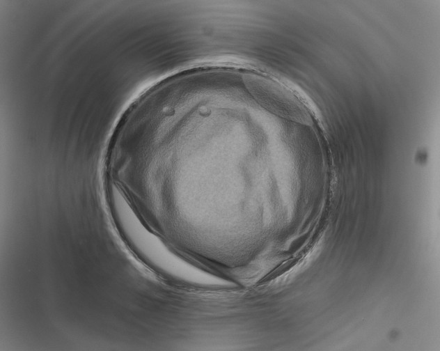 X0000116870989201001121258