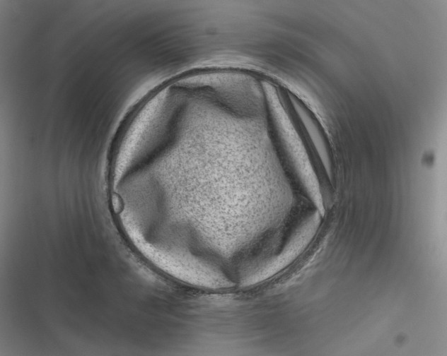 X0000116870990201001121258