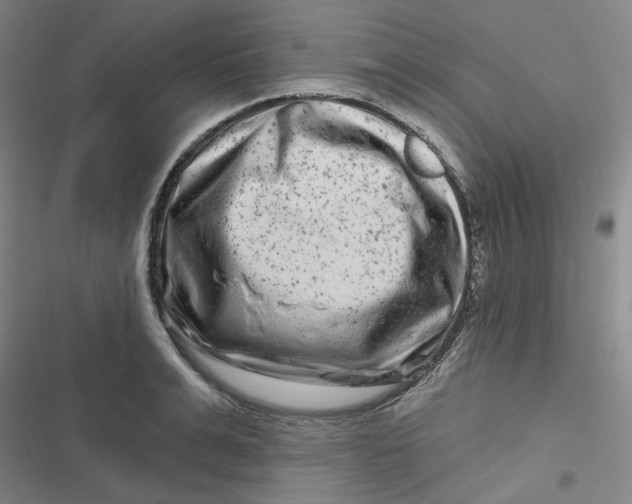 X0000116870991201001121258