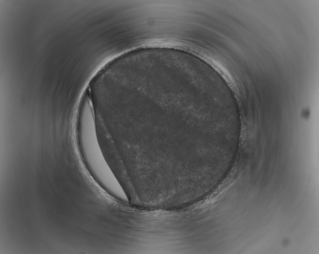 X0000116870992201001121258