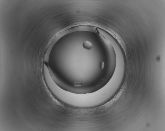 X0000116870993201001121258