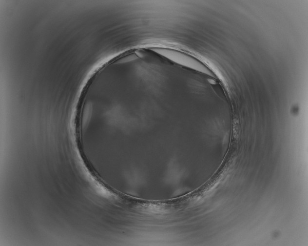 X0000116870995201001121258