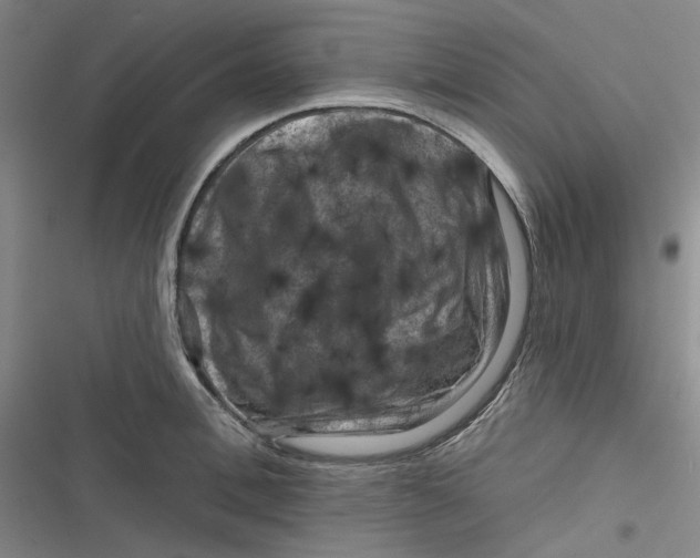 X0000116870996201001121258