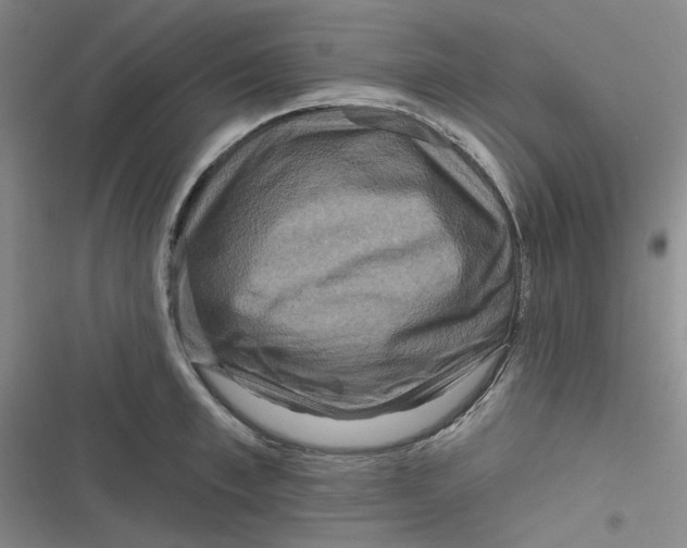 X0000116870997201001121258