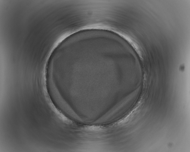 X0000116870998201001121258