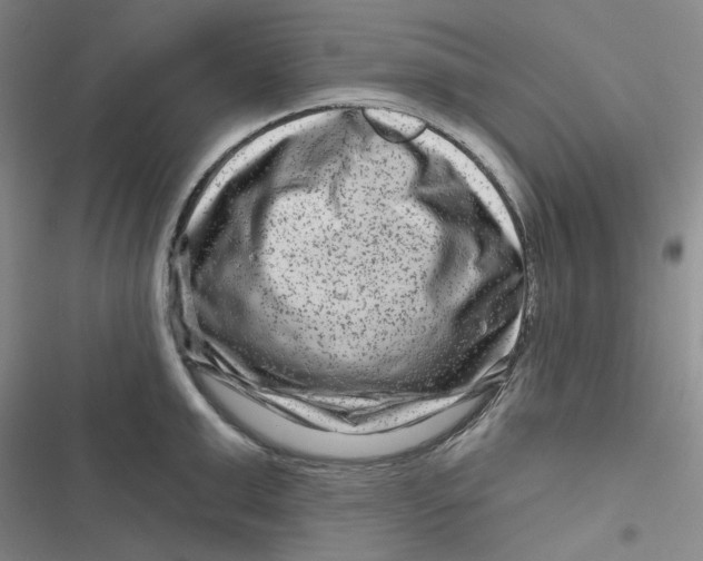 X0000116870999201001121258