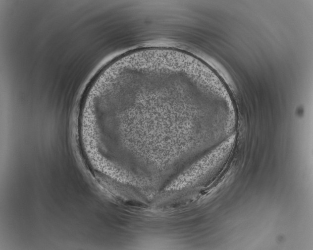 X0000116871000201001121258