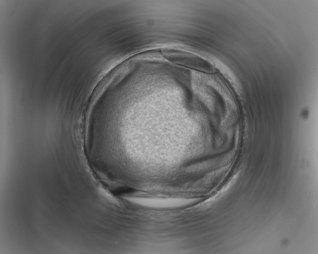 X0000116871001201001121258