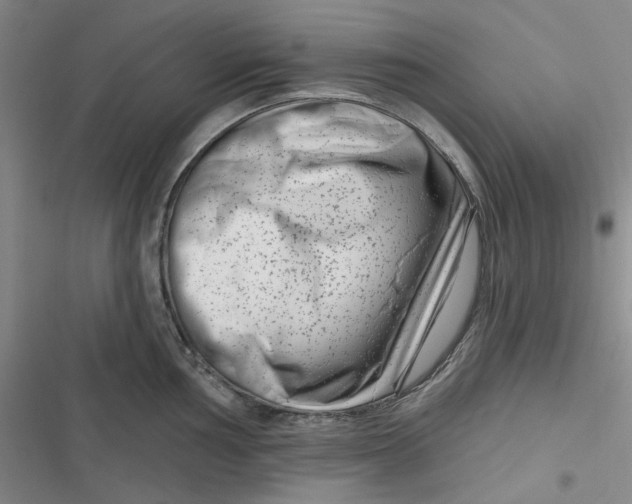 X0000116871002201001121258