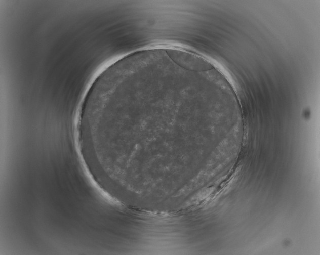 X0000116871003201001121258