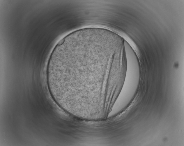 X0000116871004201001121258