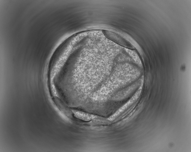 X0000116871005201001121258