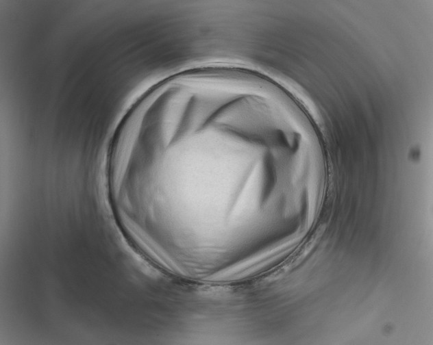 X0000116871006201001121258