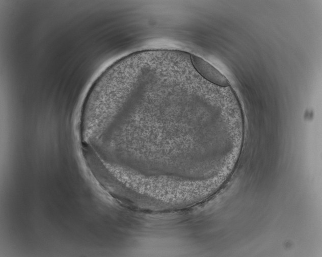 X0000116871008201001121258