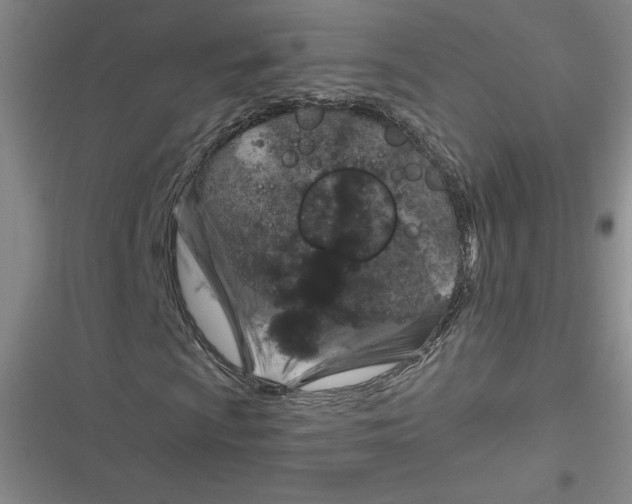 X0000116871009201001121257