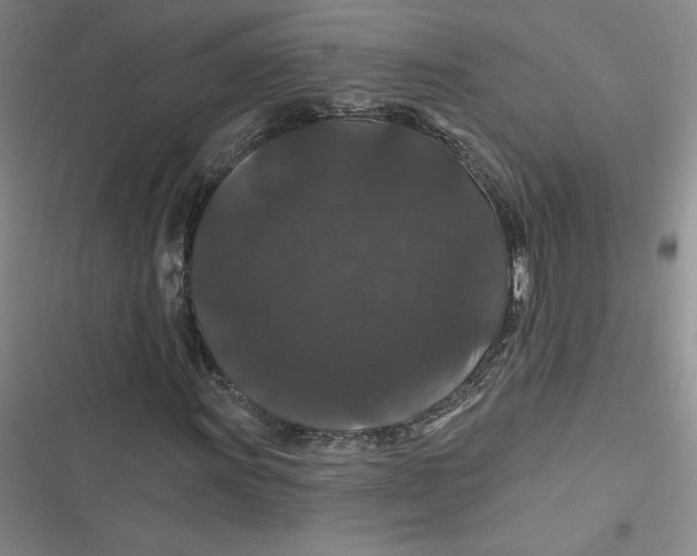 X0000116871011201001121257