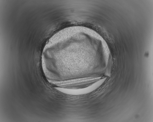 X0000116871012201001121257