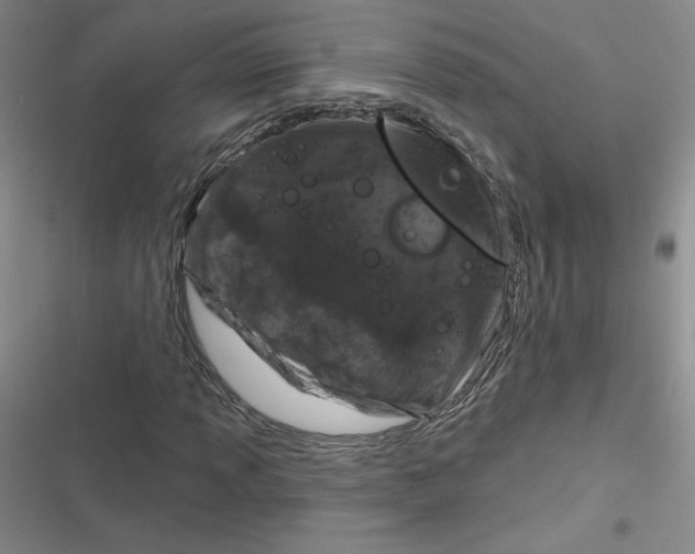 X0000116871013201001121257