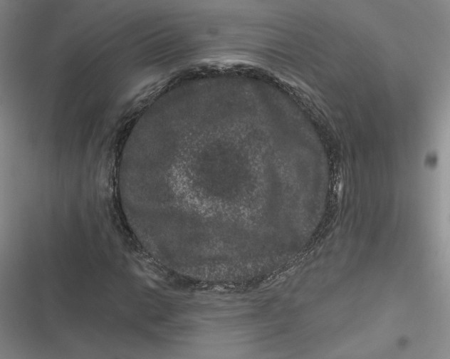 X0000116871014201001121257