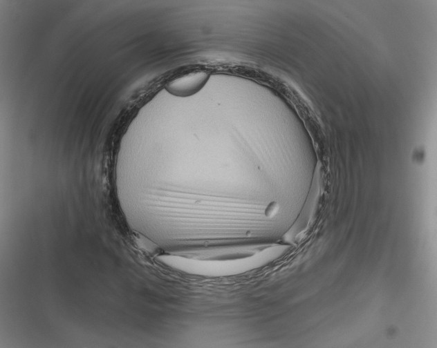 X0000116871016201001121257