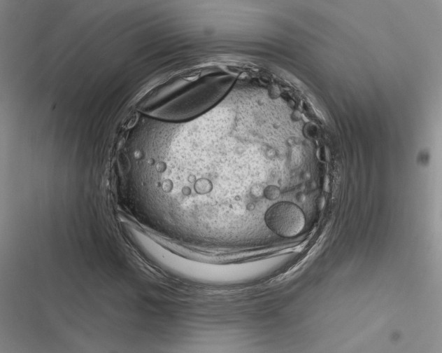 X0000116871017201001121257