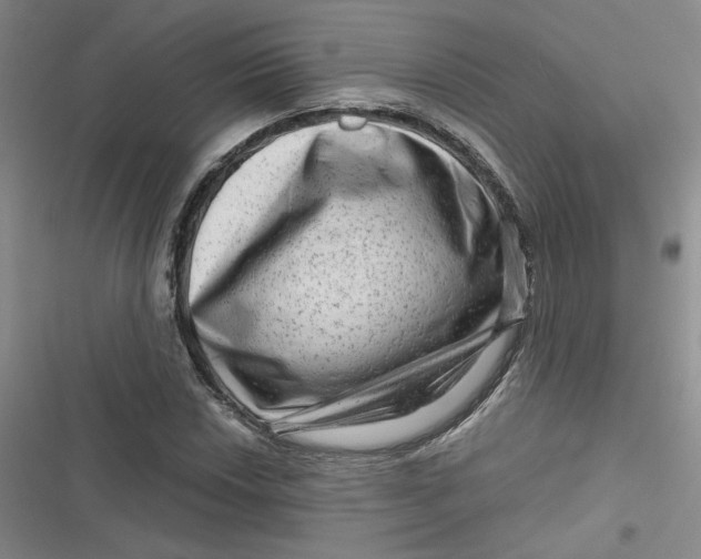 X0000116871018201001121257