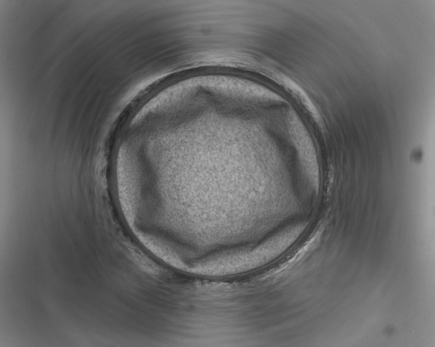 X0000116871019201001121257