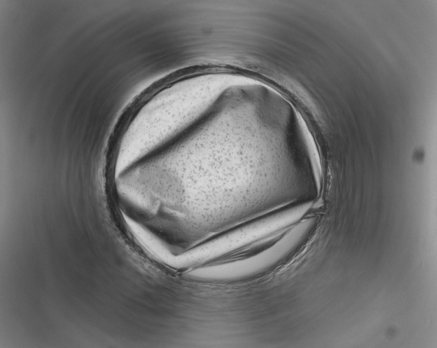 X0000116871020201001121257