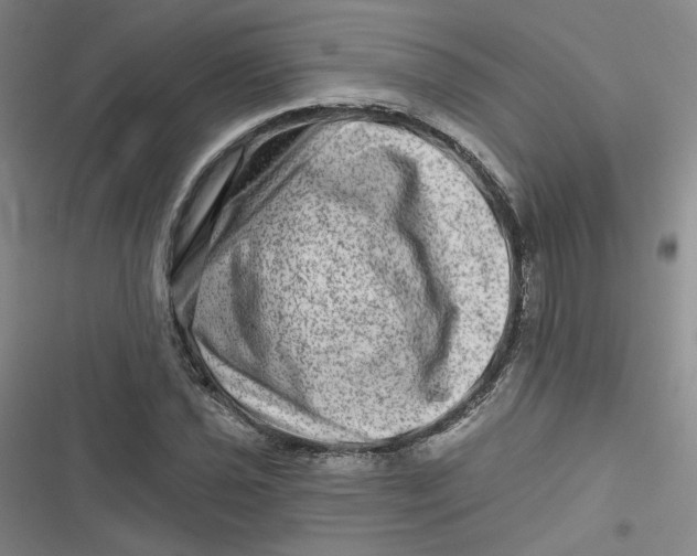 X0000116871021201001121257