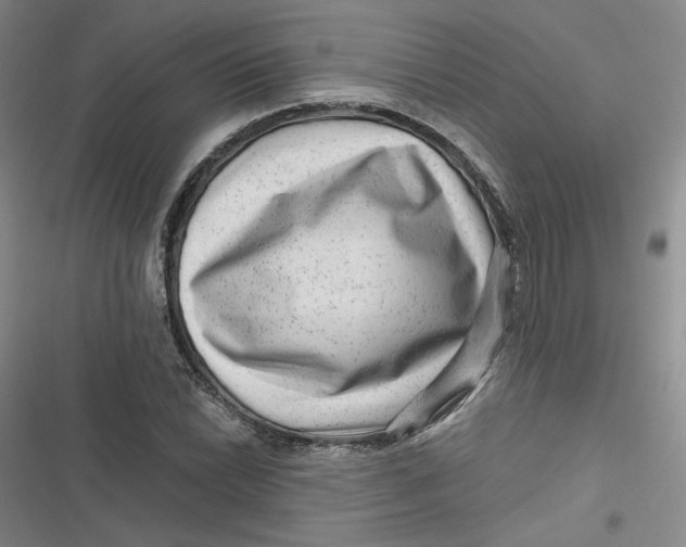 X0000116871022201001121257