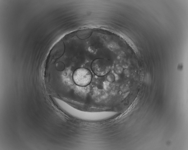 X0000116871023201001121257