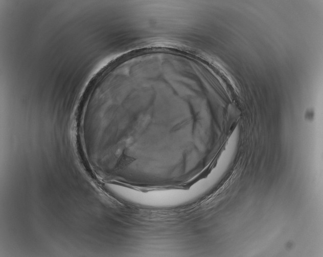 X0000116871024201001121257