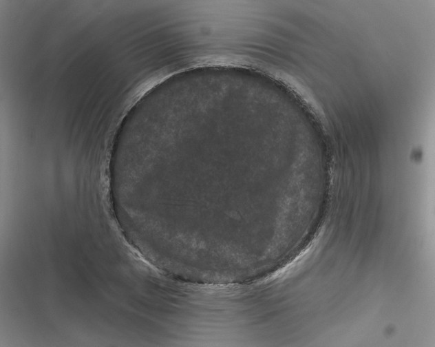 X0000116871025201001121257