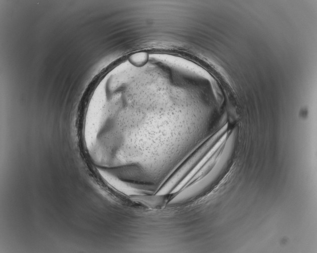 X0000116871026201001121257