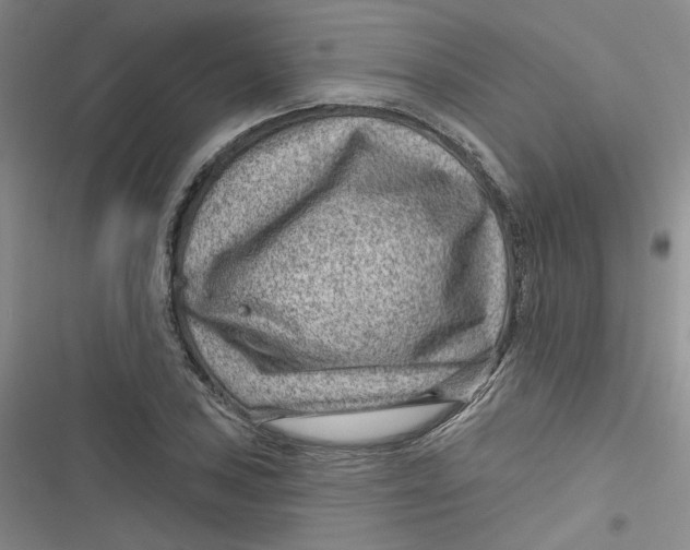 X0000116871027201001121257