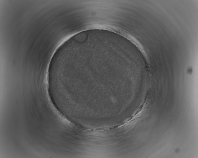 X0000116871028201001121257