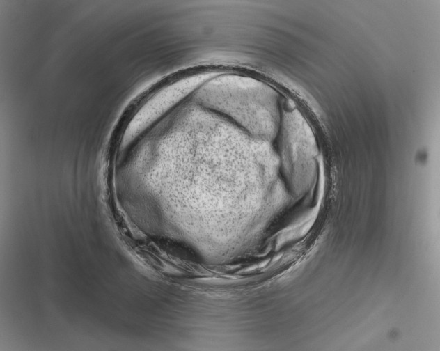 X0000116871029201001121257