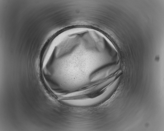 X0000116871030201001121257