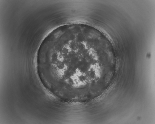 X0000116871031201001121257