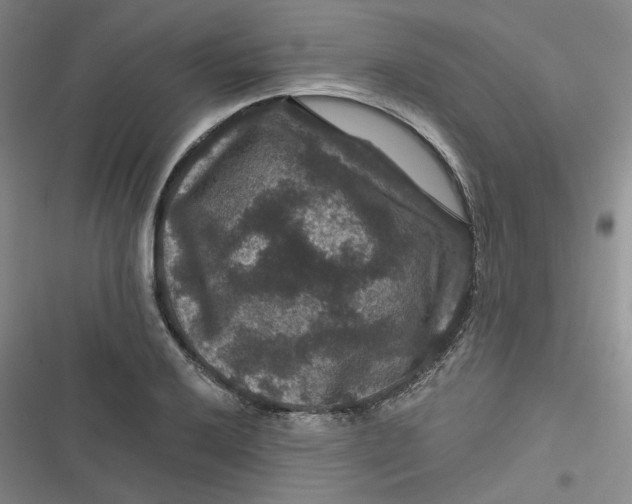 X0000116871032201001121257