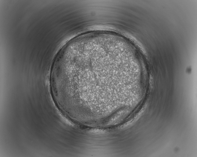 X0000116871033201001121257