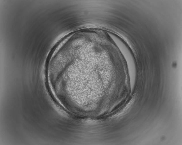 X0000116871034201001121257