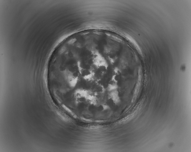 X0000116871035201001121257