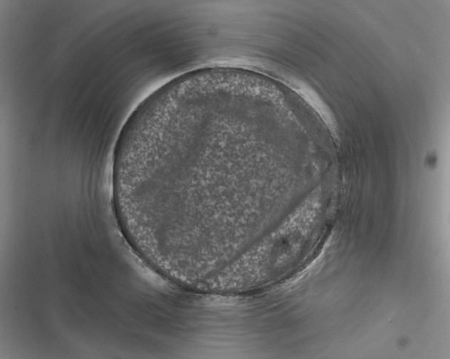 X0000116871036201001121257