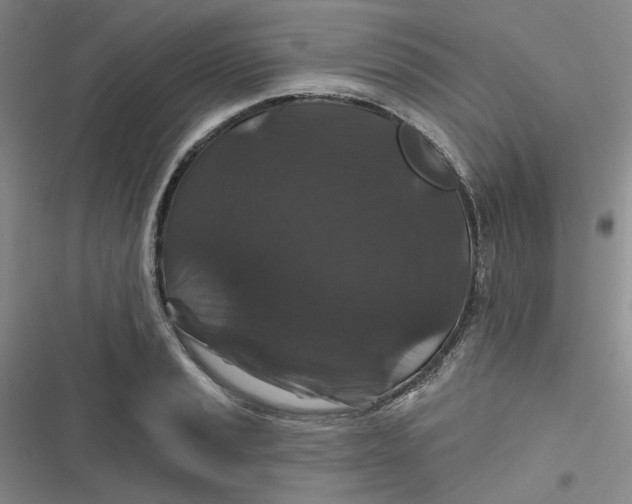 X0000116871037201001121257