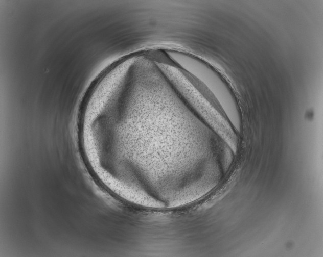 X0000116871038201001121257