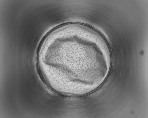 X0000116871040201001121257