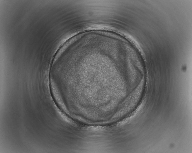 X0000116871041201001121257